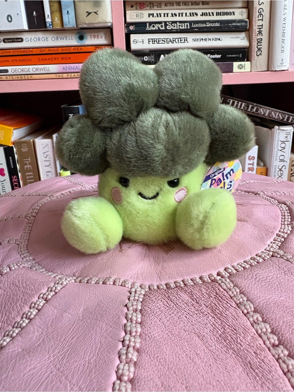 Plush Broccoli Toy - Palm Pals Plushie